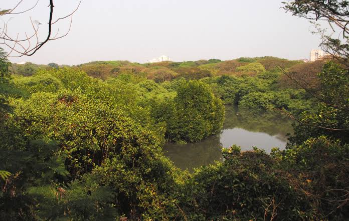 Mangalavanam Bird Sanctuary